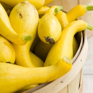 squash